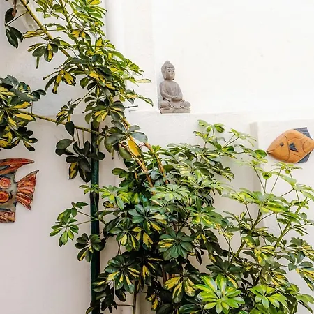 Casablanca - T3 Апартаменты